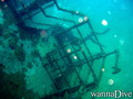 scuba diving photo
