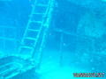 scuba diving photo