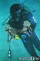 scuba diving photo