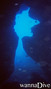 scuba diving photo