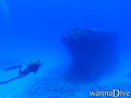 scuba diving photo