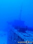 scuba diving photo