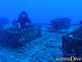 scuba diving photo