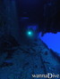 scuba diving photo