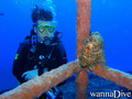 scuba diving photo