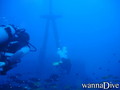 scuba diving photo