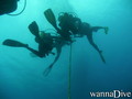 scuba diving photo