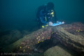scuba diving photo
