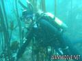 scuba diving photo