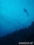 scuba diving photo