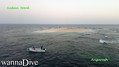 scuba diving photo