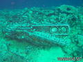 scuba diving photo