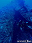 scuba diving photo