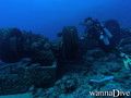 scuba diving photo