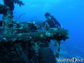 scuba diving photo
