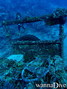 scuba diving photo