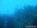 scuba diving photo
