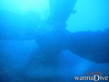 scuba diving photo