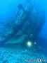 scuba diving photo