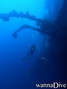 scuba diving photo