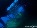 scuba diving photo