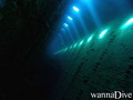 scuba diving photo