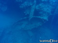 scuba diving photo