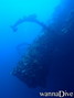 scuba diving photo
