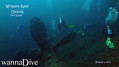 scuba diving photo