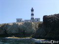 scuba diving photo