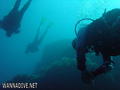 scuba diving photo