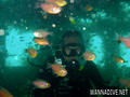 scuba diving photo