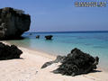 scuba diving photo