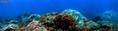 scuba diving photo