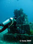 scuba diving photo