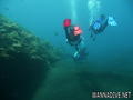 scuba diving photo