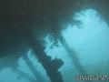 scuba diving photo