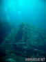 scuba diving photo