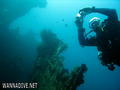 scuba diving photo