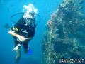 scuba diving photo