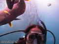 scuba diving photo