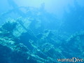 scuba diving photo