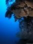 scuba diving photo