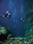 scuba diving photo