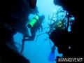 scuba diving photo