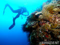 scuba diving photo