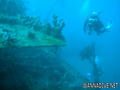 scuba diving photo