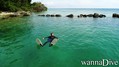 scuba diving photo