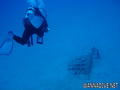 scuba diving photo