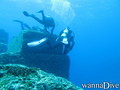 scuba diving photo